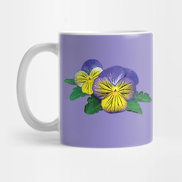 Pansies - Shy Little Pansy by SusanSavad